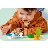 10442 - LEGO DUPLO - Rodziny dzikich zwierząt: pingwiny i lwy