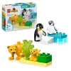 10442 - LEGO DUPLO - Rodziny dzikich zwierząt: pingwiny i lwy