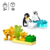 10442 - LEGO DUPLO - Rodziny dzikich zwierząt: pingwiny i lwy