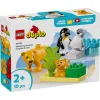 10442 - LEGO DUPLO - Rodziny dzikich zwierząt: pingwiny i lwy