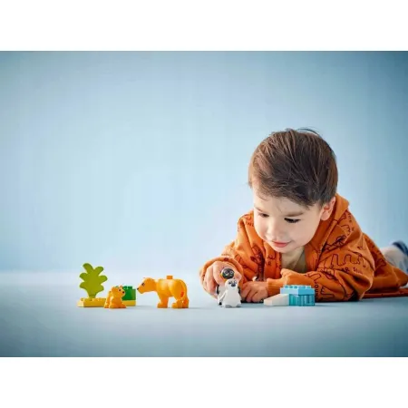 10442 - LEGO DUPLO - Rodziny dzikich zwierząt: pingwiny i lwy