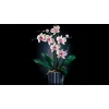 LEGO Botanicals Orchidea 10311