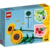 LEGO Botanicals 40524 Słoneczniki