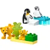 LEGO DUPLO Rodziny dzikich zwierząt: pingwiny i lwy 10442