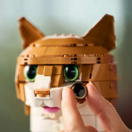 LEGO 21376 Rudy kot | zestaw kolekcjonerski do składania