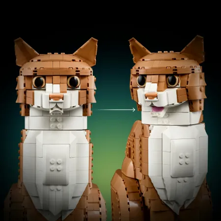 LEGO 21376 Rudy kot | zestaw kolekcjonerski do składania